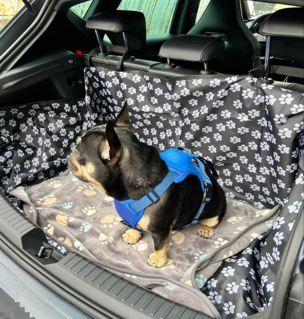 Furryking™ 3 in 1 Dog Harness with Built-In Leash