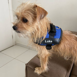 Furryking™ Ultimate Personalized No Pull Dog Harness