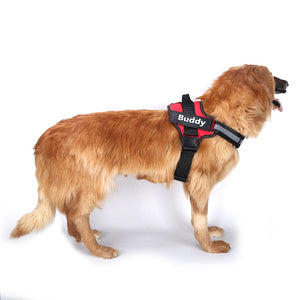 Furryking™ Ultimate Personalized No Pull Dog Harness