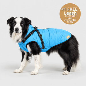 FurryKing™ 3 in 1 Winter Jacket
