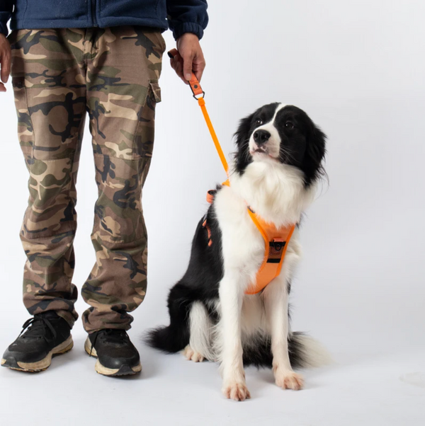 Furryking™ 3 in 1 Dog Harness with Built-In Leash