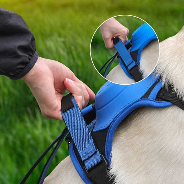 Furryking™ 3 in 1 Dog Harness with Built-In Leash