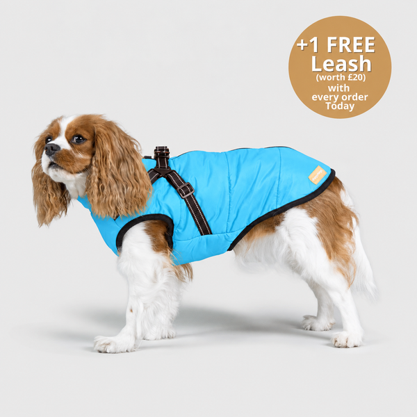 FurryKing™ 3 in 1 Winter Jacket - Buy 2 Get 1 FREE