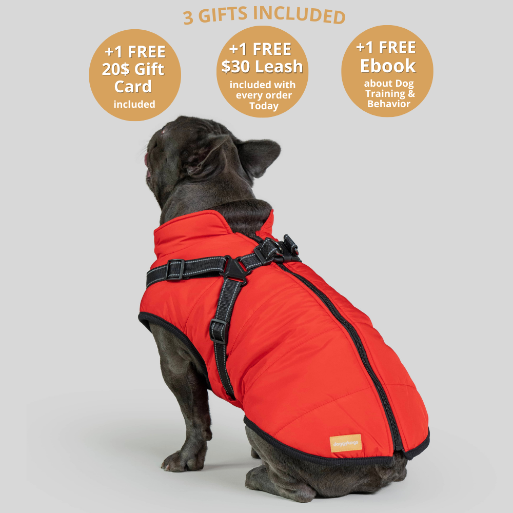 FurryKing Waterproof Dog Coats Accessories furryking-waterproof-dog-coats-accessories