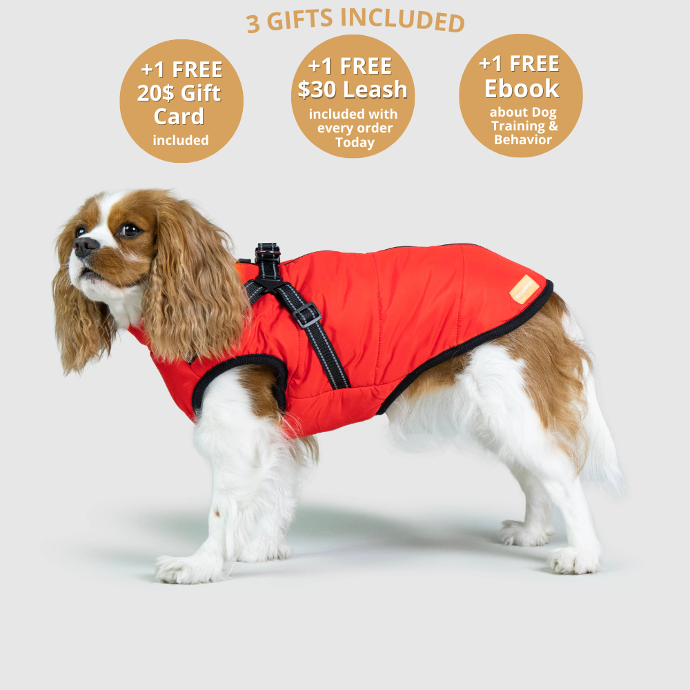 FurryKing Waterproof Dog Coats Accessories furryking-waterproof-dog-coats-accessories