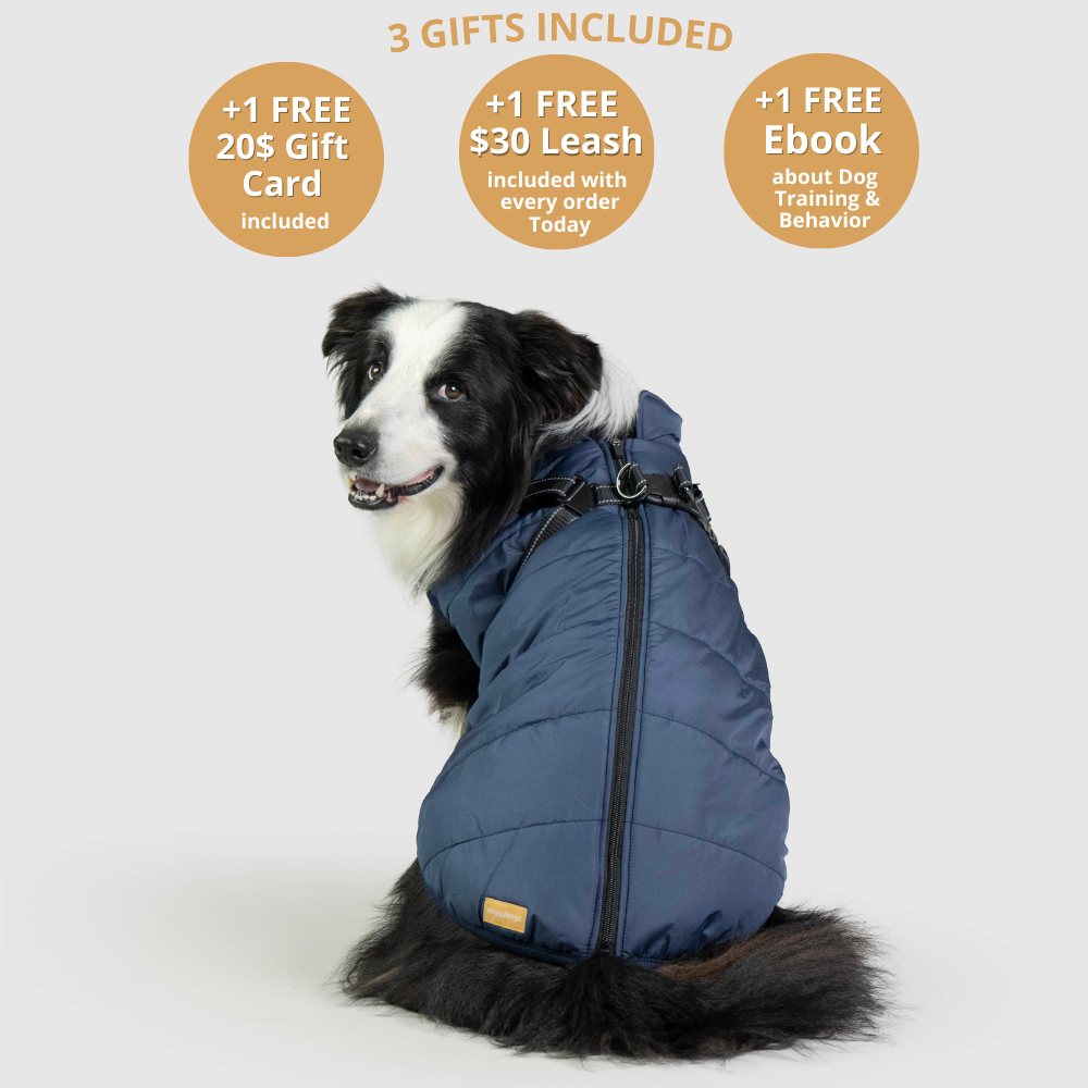 furryking-waterproof-dog-coats-accessories