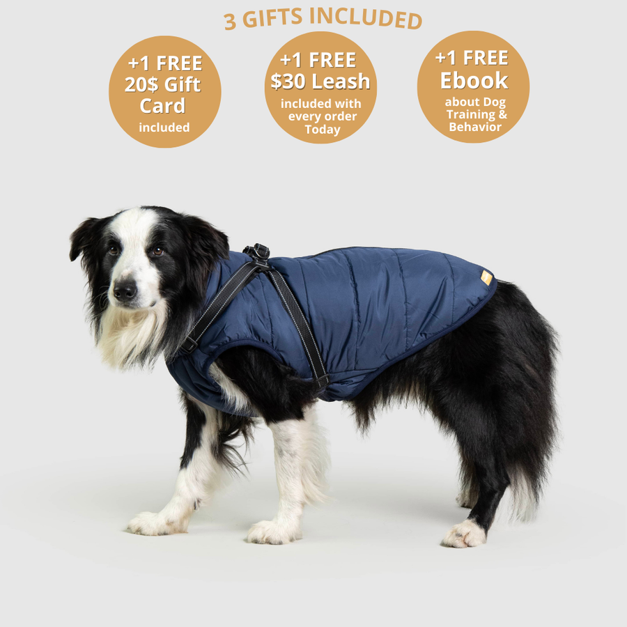 FurryKing Waterproof Dog Coats Accessories furryking-waterproof-dog-coats-accessories