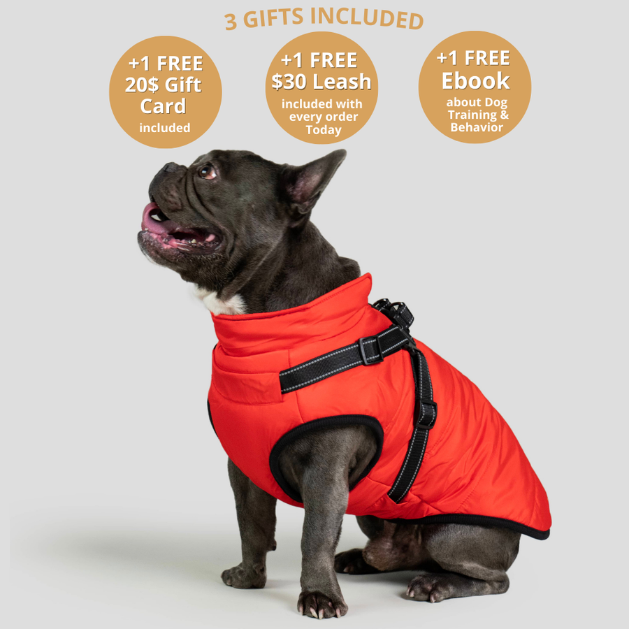 FurryKing Waterproof Dog Coats Accessories furryking-waterproof-dog-coats-accessories