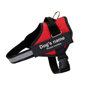 Furryking™ Ultimate Personalized No Pull Dog Harness