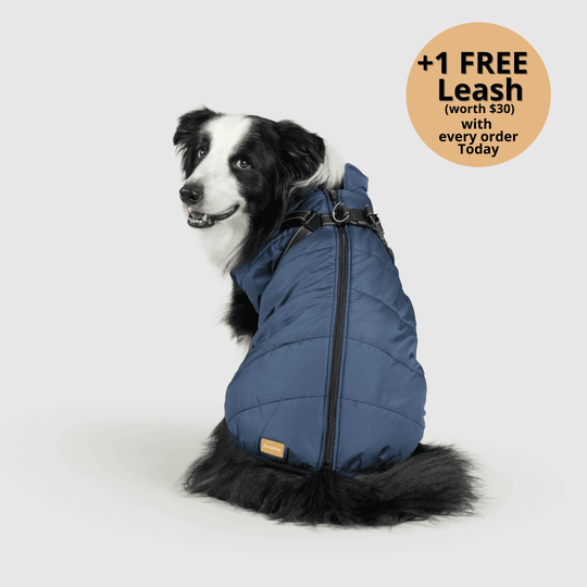 FurryKing Waterproof Dog Coats Accessories furryking-waterproof-dog-coats-accessories