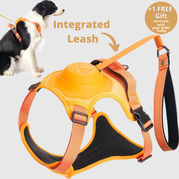 Furryking™ 3 in 1 Dog Harness with Built-In Leash