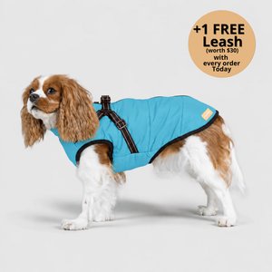 FurryKing™ 3 in 1 Winter Jacket