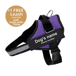 Furryking™ Ultimate Personalized No Pull Dog Harness