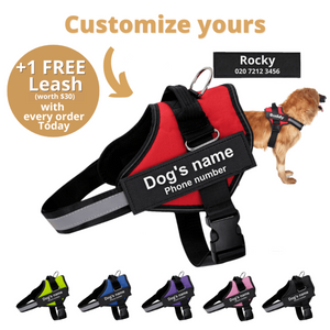 Furryking™ Ultimate Personalized No Pull Dog Harness