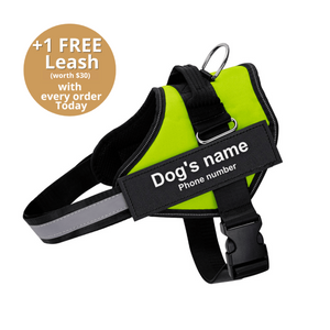 Furryking™ Ultimate Personalized No Pull Dog Harness