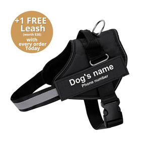 Furryking™ Ultimate Personalized No Pull Dog Harness